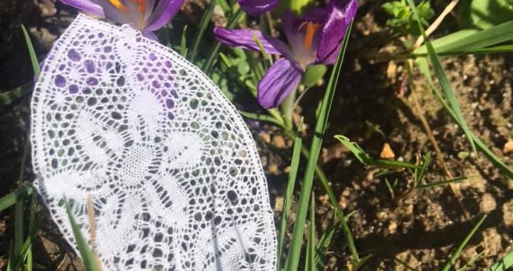 petite dentelle - jonquille