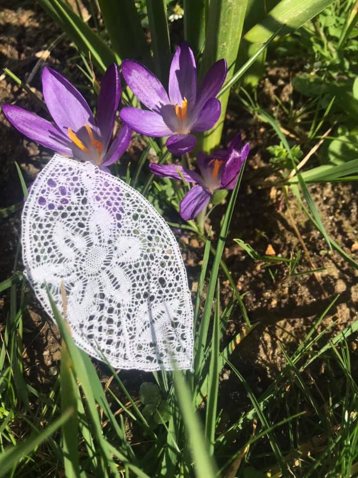 petite dentelle - jonquille